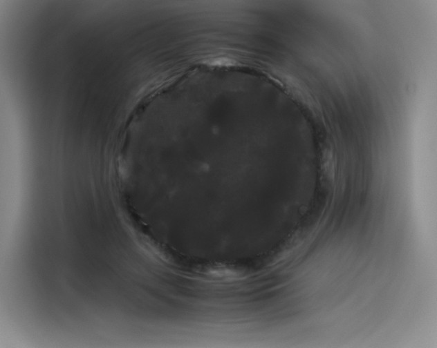 X0000114190547200910161207