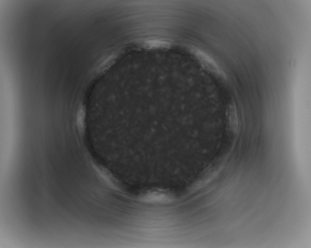 X0000114190550200910161207