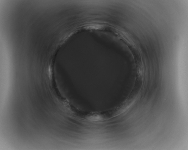 X0000114190551200910161207
