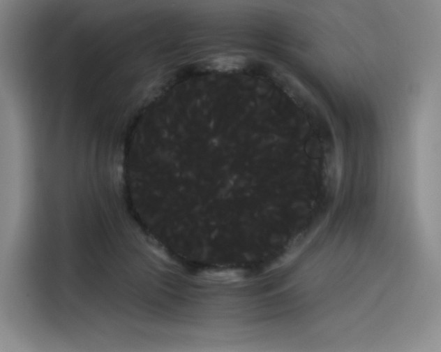 X0000114190553200910161207