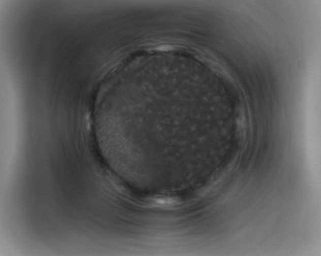 X0000114190555200910161207