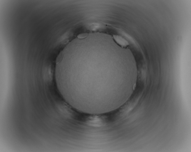 X0000114190558200910161207
