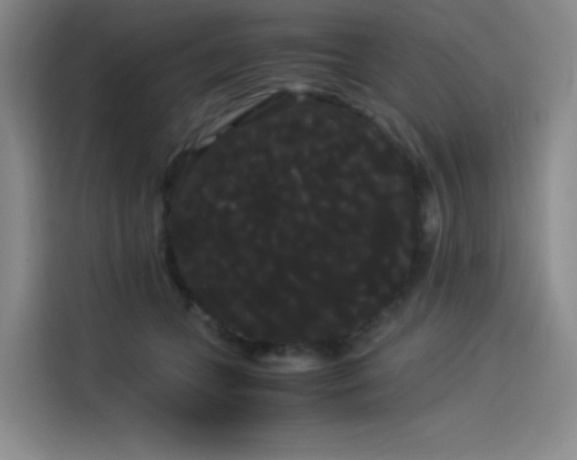 X0000114190559200910161207