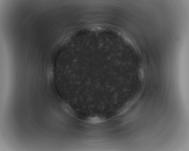 X0000114190561200910161207