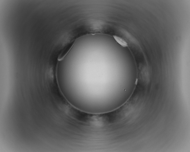 X0000114190562200910161207