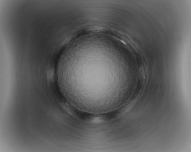 X0000114190564200910161207