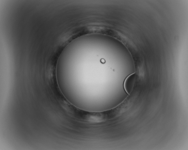 X0000114190567200910161207