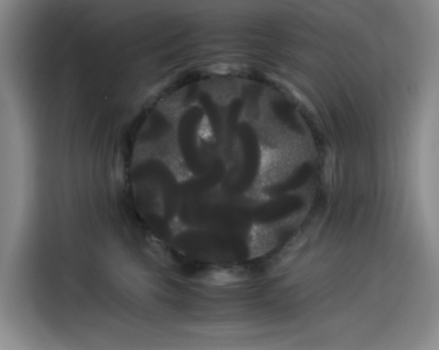 X0000114190569200910161207