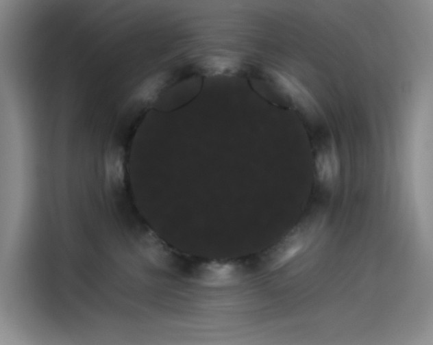 X0000114190570200910161207