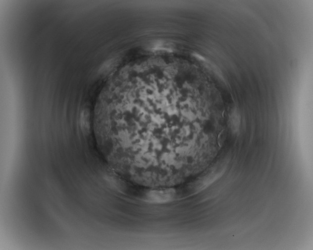 X0000114190571200910161207