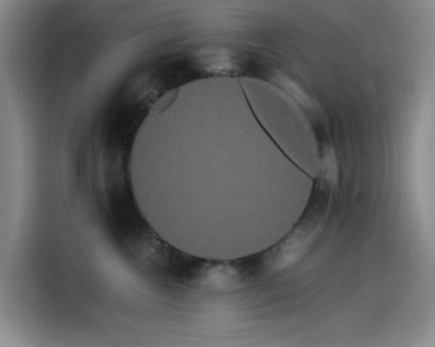 X0000114190572200910161207