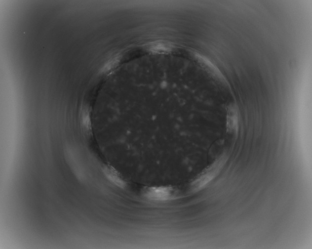 X0000114190573200910161207