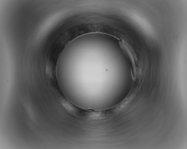 X0000114190574200910161207