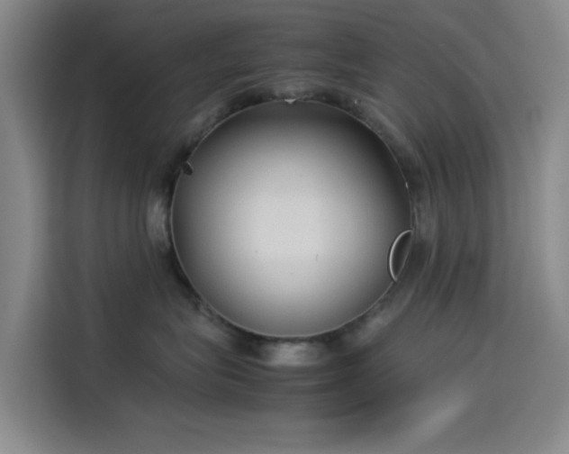 X0000114190575200910161207
