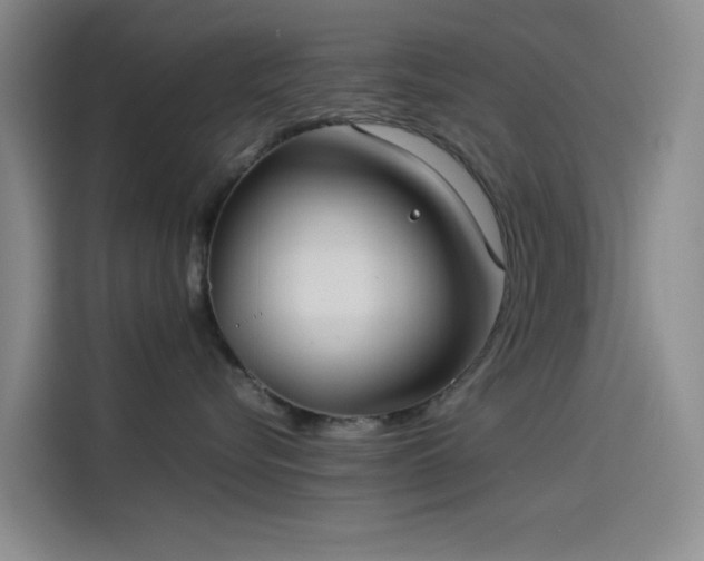 X0000114190576200910161207