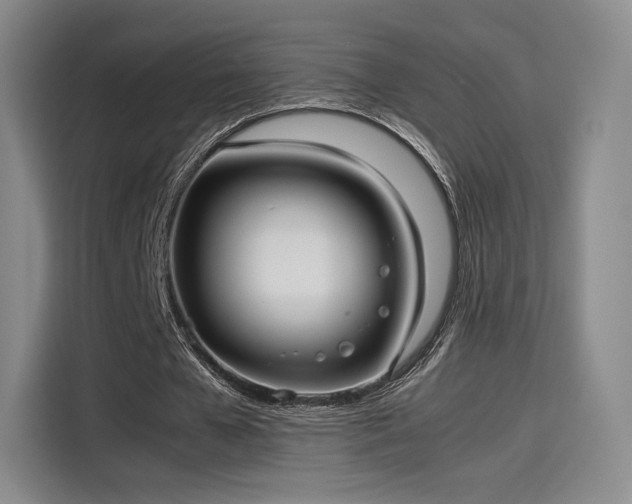 X0000114190577200910161206