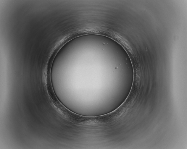 X0000114190578200910161206