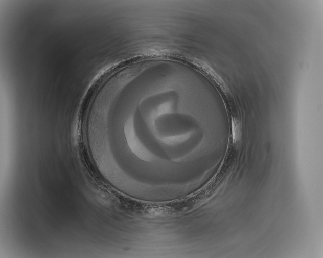 X0000114190579200910161206