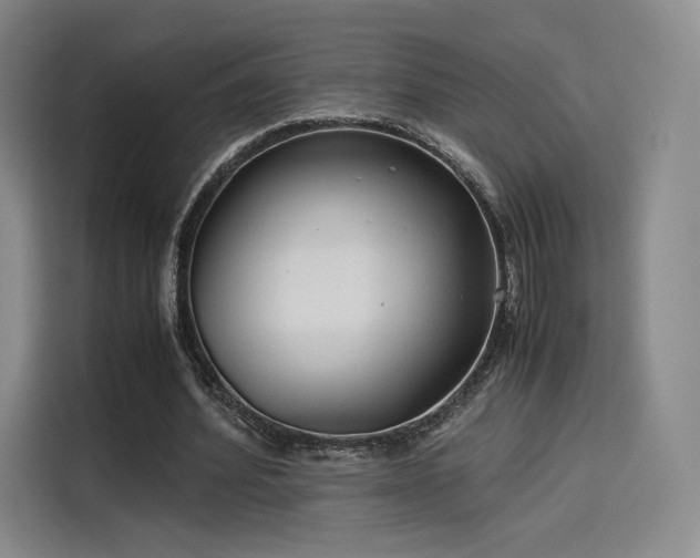X0000114190580200910161206