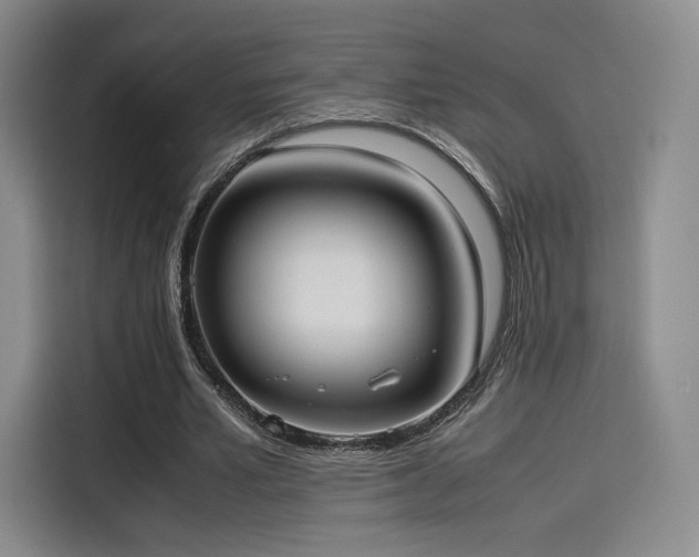 X0000114190581200910161206