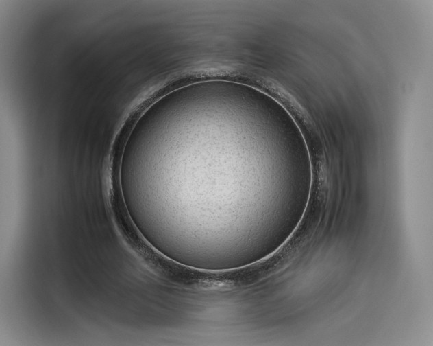 X0000114190582200910161206