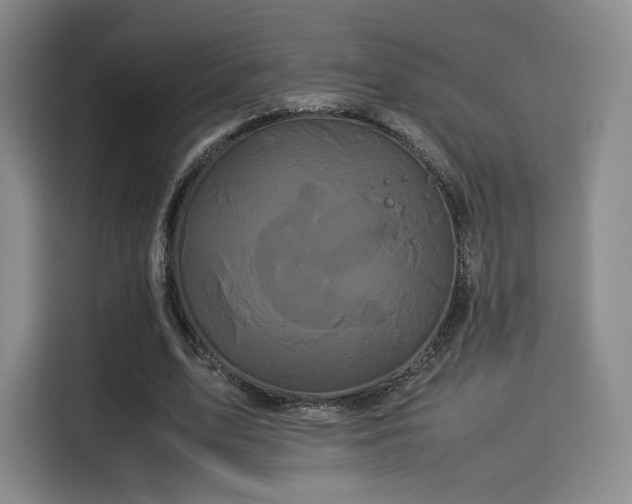 X0000114190583200910161206