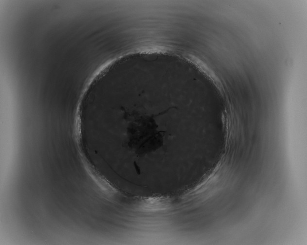 X0000114190584200910161206