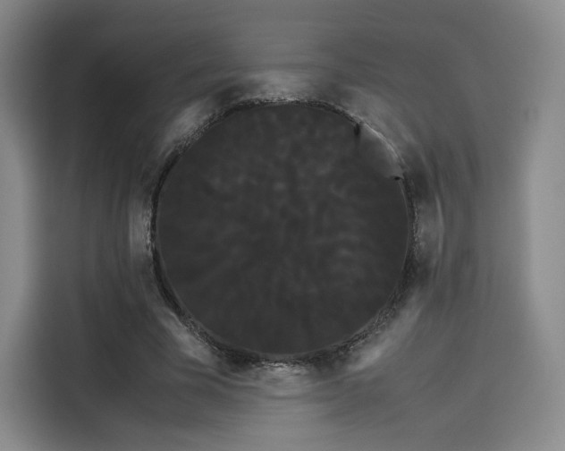 X0000114190585200910161206