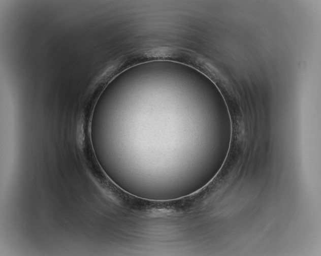 X0000114190586200910161206