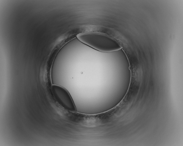X0000114190587200910161206