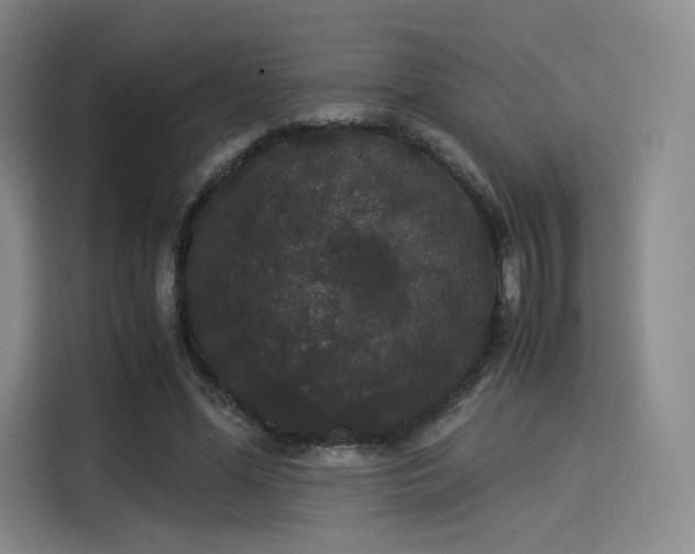 X0000114190588200910161206