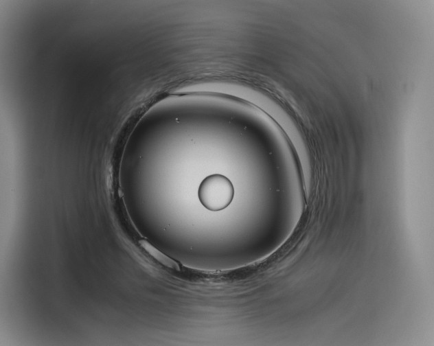 X0000114190589200910161206