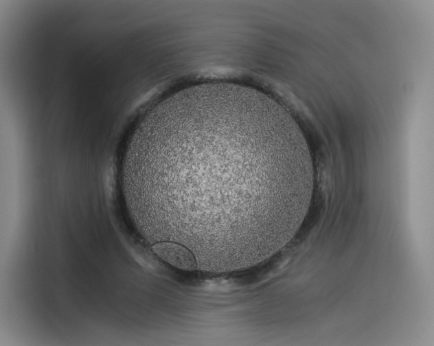 X0000114190591200910161206