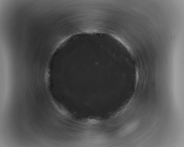 X0000114190592200910161206