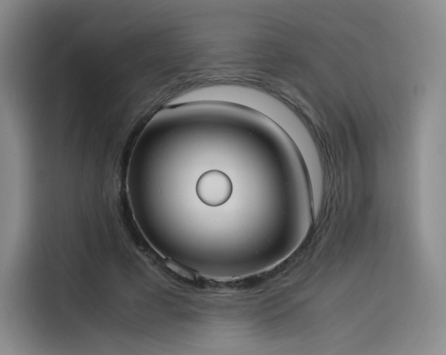 X0000114190593200910161206