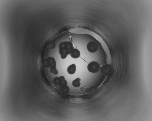 X0000114190594200910161206