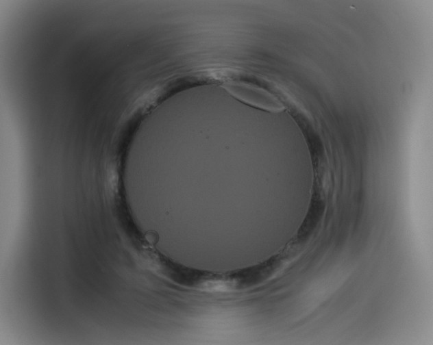 X0000114190595200910161206