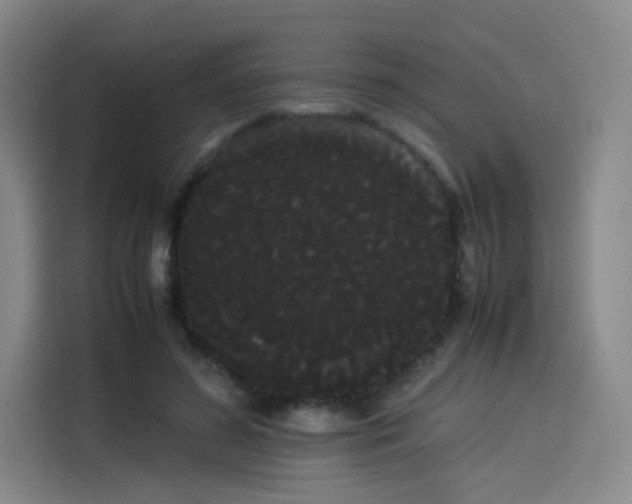 X0000114190596200910161206