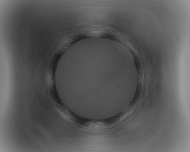 X0000114190599200910161206
