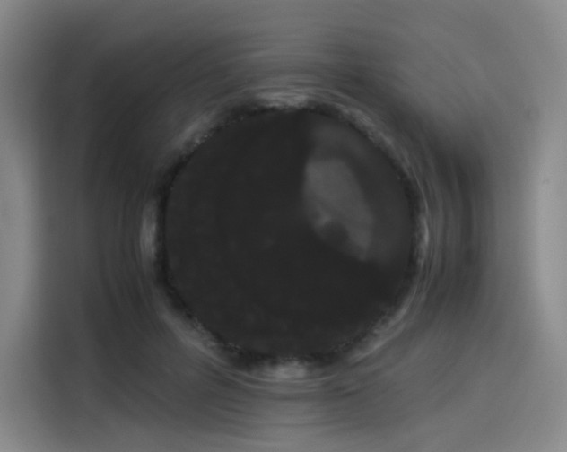 X0000114190600200910161206