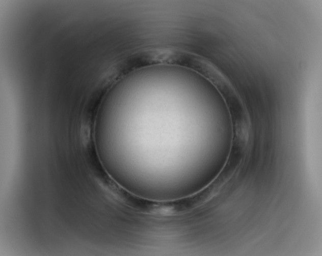 X0000114190602200910161206