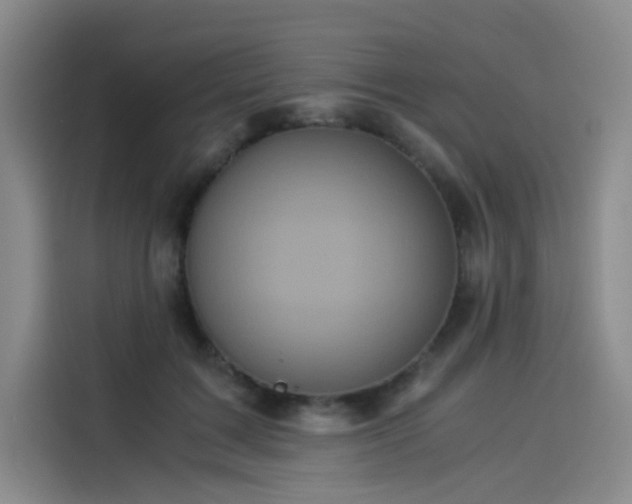 X0000114190603200910161206