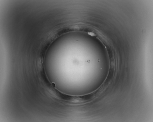X0000114190605200910161206