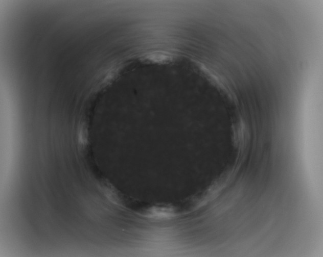 X0000114190606200910161206