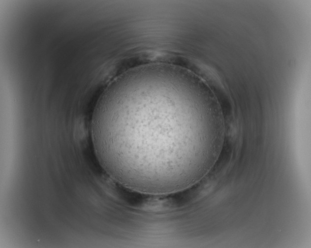 X0000114190607200910161206
