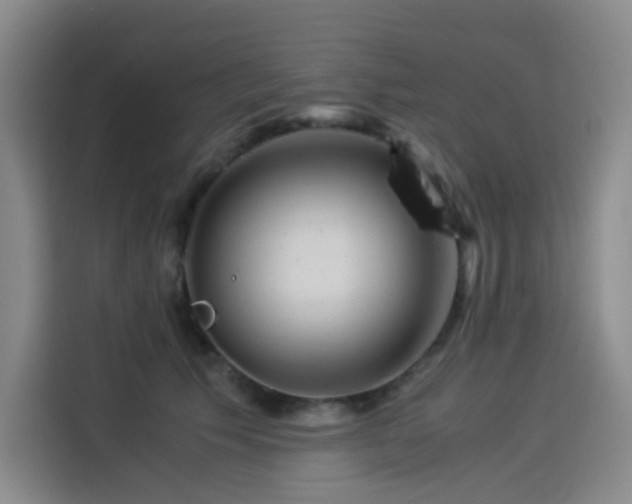 X0000114190609200910161206