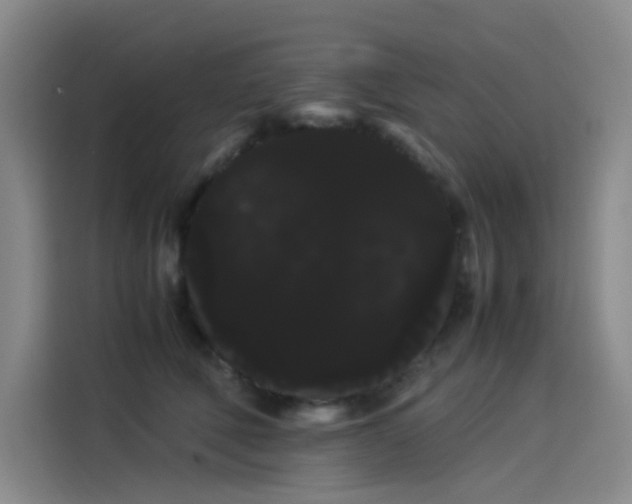 X0000114190610200910161206