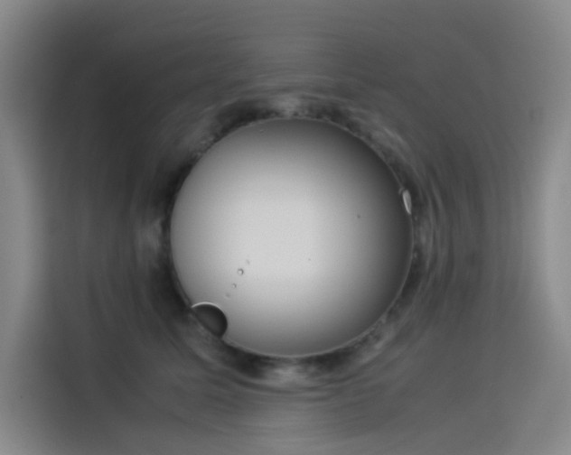 X0000114190611200910161206