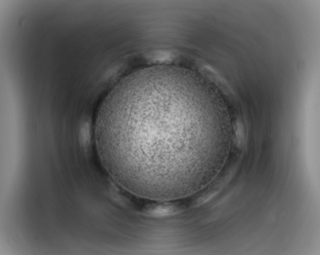 X0000114190612200910161206