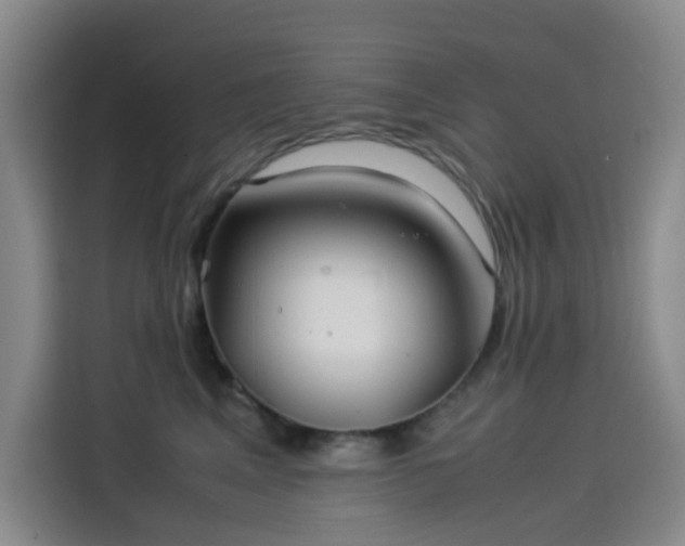 X0000114190617200910161206